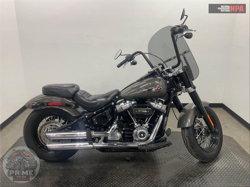 2019 Harley-Davidson FLSL SOFTAIL SLIM — фото 1