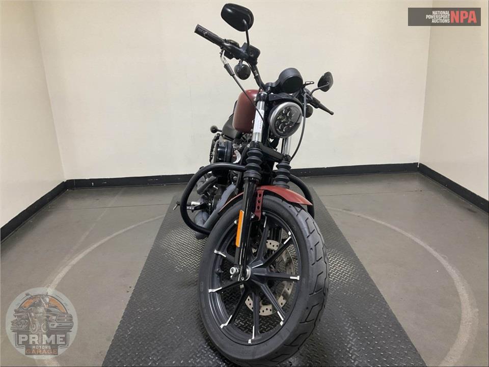 2017 Harley-Davidson XL883N IRON — фото 2