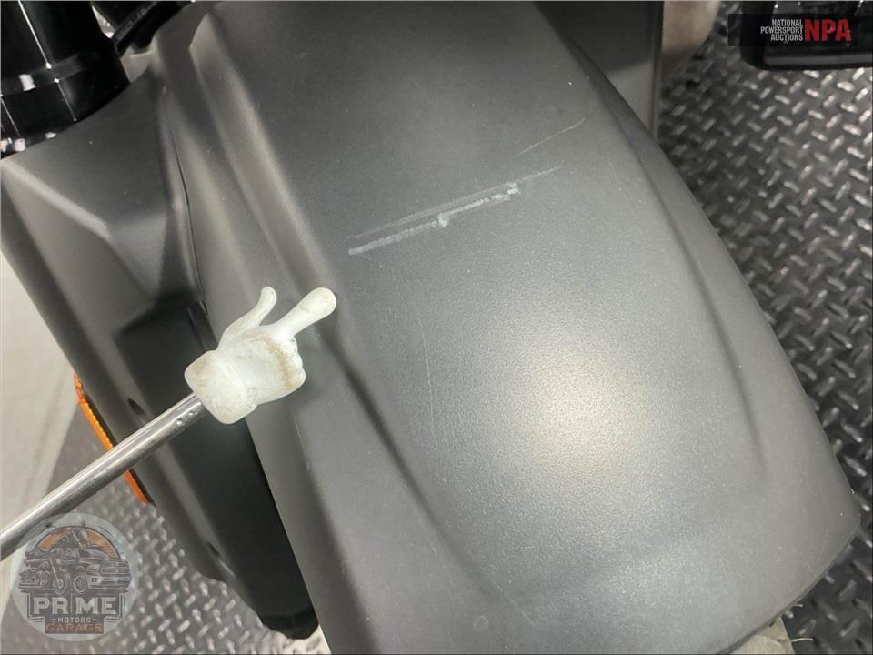2023 Harley-Davidson RA1250S PAN AMERICA SPECIAL — фото 18
