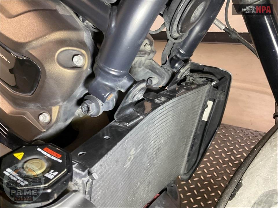 2024 Harley-Davidson RH1250S SPORTSTER S — фото 11