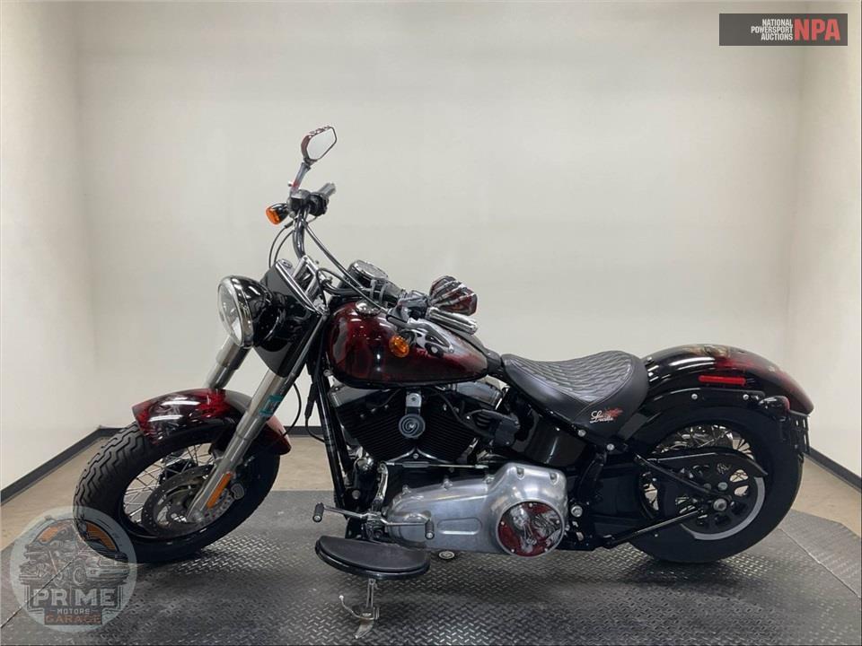 2015 Harley-Davidson FLS SOFTAIL SLIM — фото 3