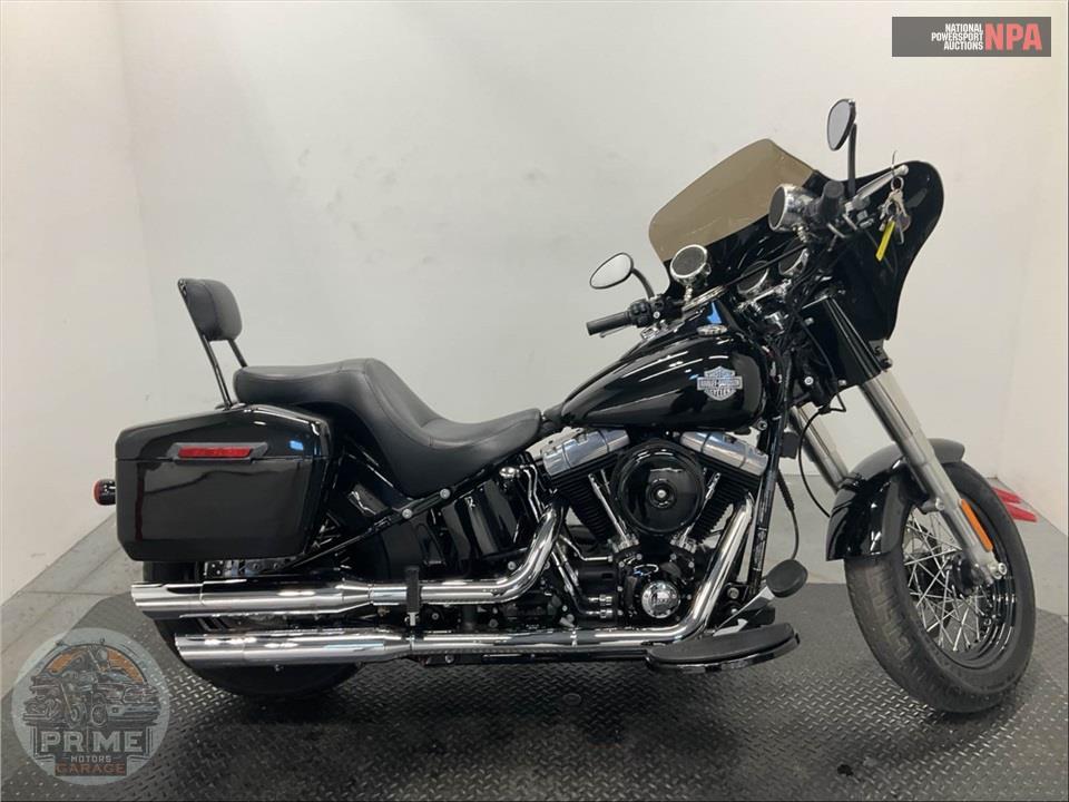 2015 Harley-Davidson FLS SOFTAIL SLIM — фото 1
