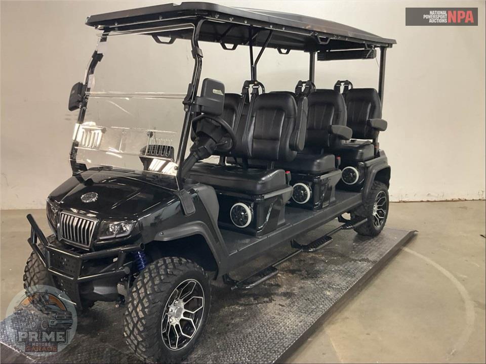 2025 Evolution Carts D5 MAVERICK 6 — фото 2