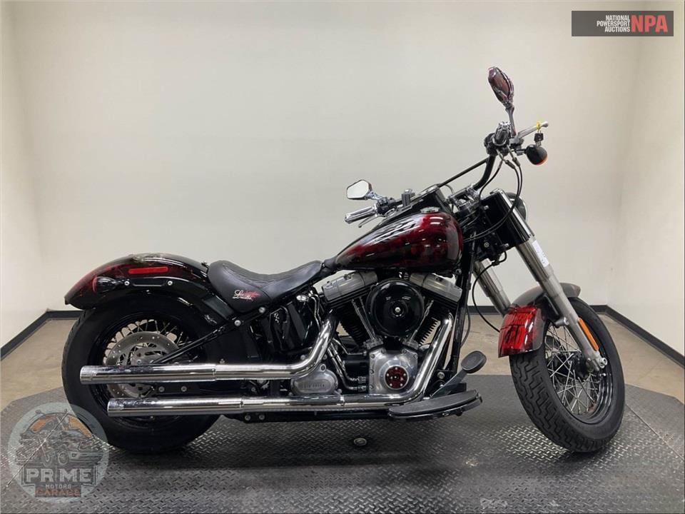 2015 Harley-Davidson FLS SOFTAIL SLIM — фото 1