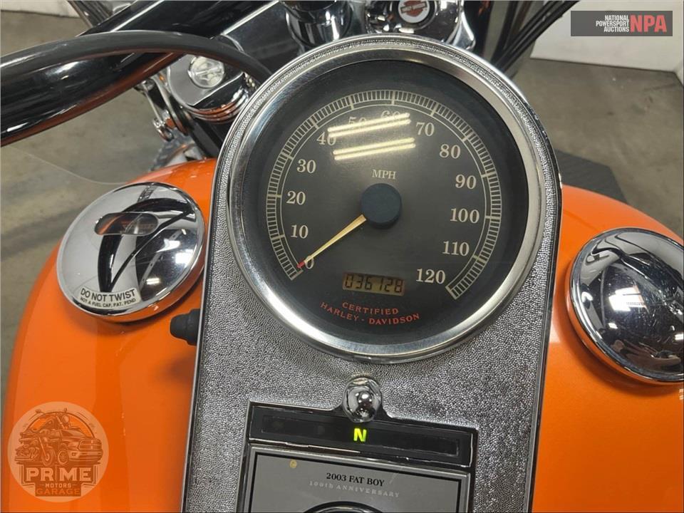 2003 Harley-Davidson FLSTF FAT BOY (Anniv) — фото 5