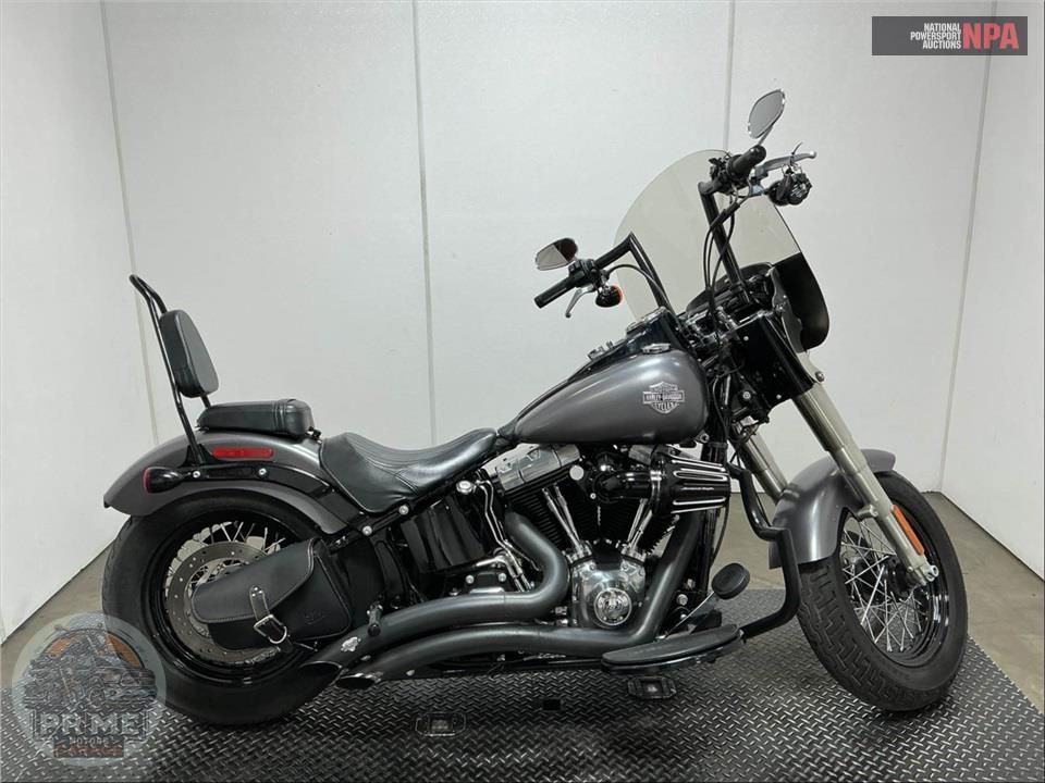 2014 Harley-Davidson FLS SOFTAIL SLIM — фото 1