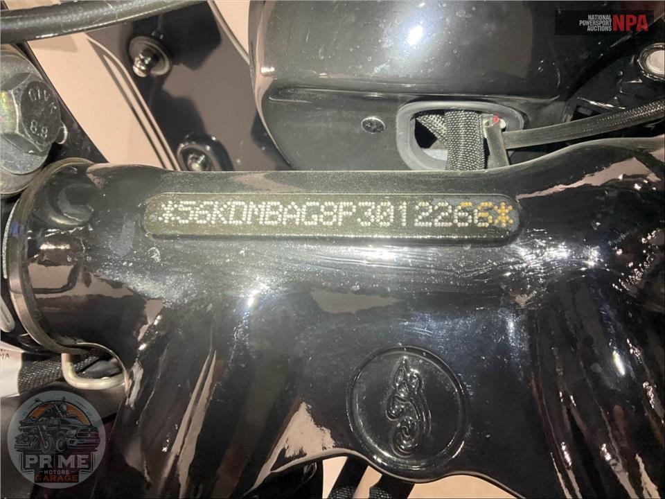 2023 Indian Motorcycle CHIEF (ABS, SMOKE COLOR) — фото 22