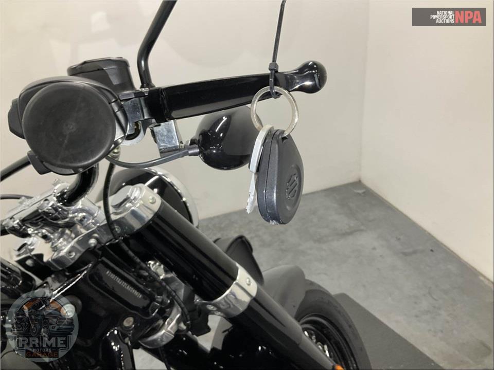 2020 Harley-Davidson FLSL SOFTAIL SLIM — фото 11