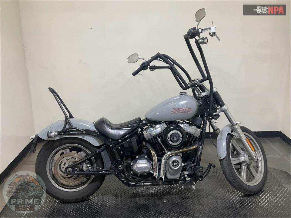 2024 Harley-Davidson FXST SOFTAIL STANDARD — фото 1