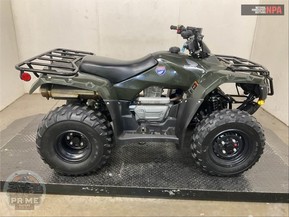 2025 Honda TRX250TM FOURTRAX RECON — фото 1