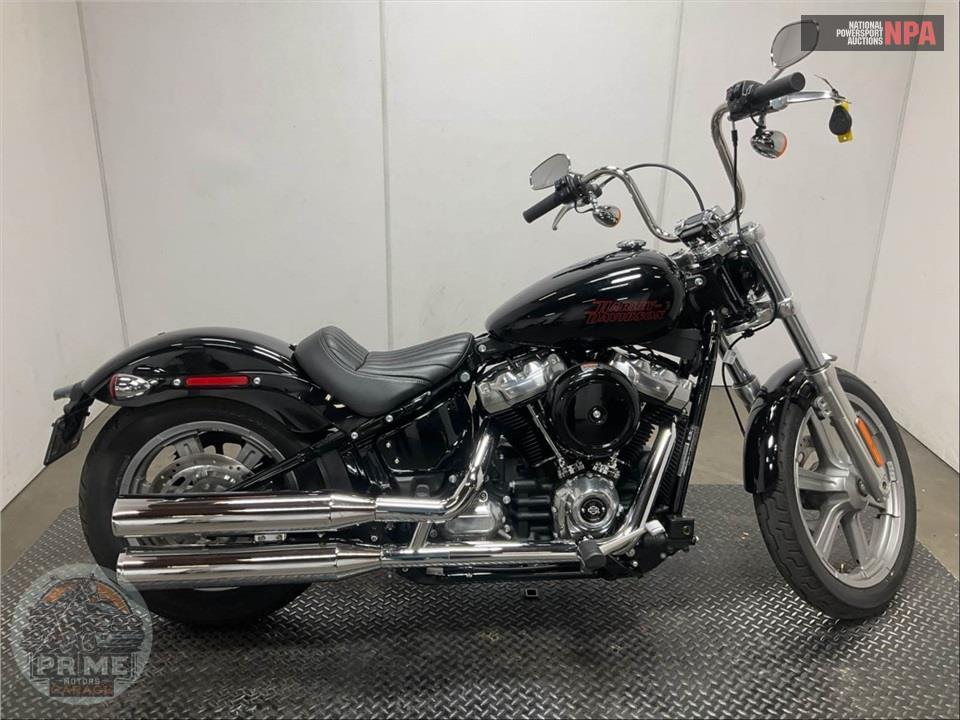 2024 Harley-Davidson FXST SOFTAIL STANDARD — фото 1
