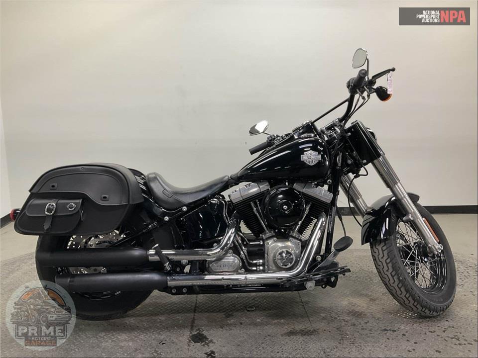 2015 Harley-Davidson FLS SOFTAIL SLIM — фото 1