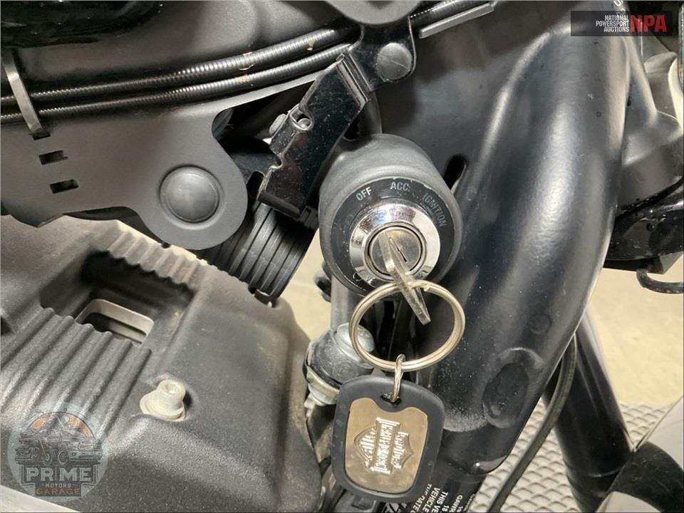 2016 Harley-Davidson XL1200CX ROADSTER — фото 12