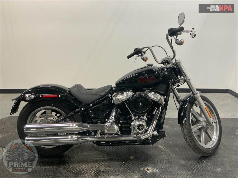 2024 Harley-Davidson FXST SOFTAIL STANDARD — фото 1