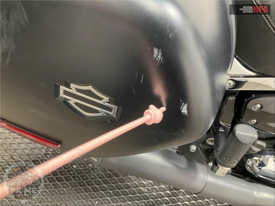 2019 Harley-Davidson FLSB SPORT GLIDE — фото 22