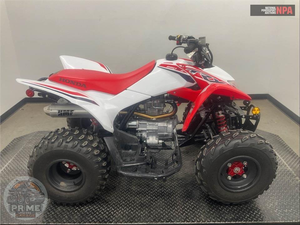 2024 Honda TRX250X — фото 1