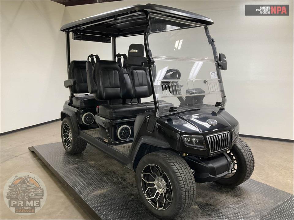 2025 Evolution Carts D5 RANGER 4 PLUS — фото 1