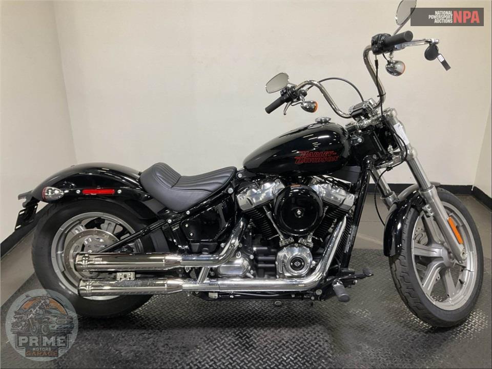 2024 Harley-Davidson FXST SOFTAIL STANDARD — фото 1