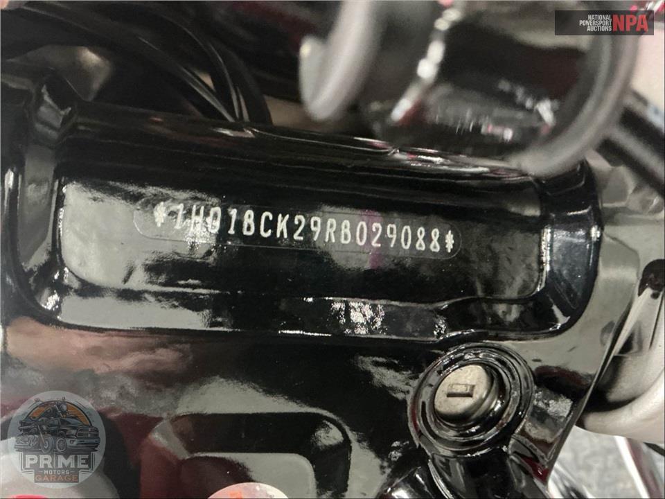 2024 Harley-Davidson FLI HYDRA-GLIDE REVIVAL — фото 22