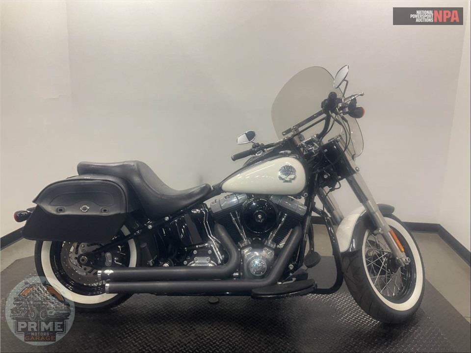 2015 Harley-Davidson FLS SOFTAIL SLIM — фото 1