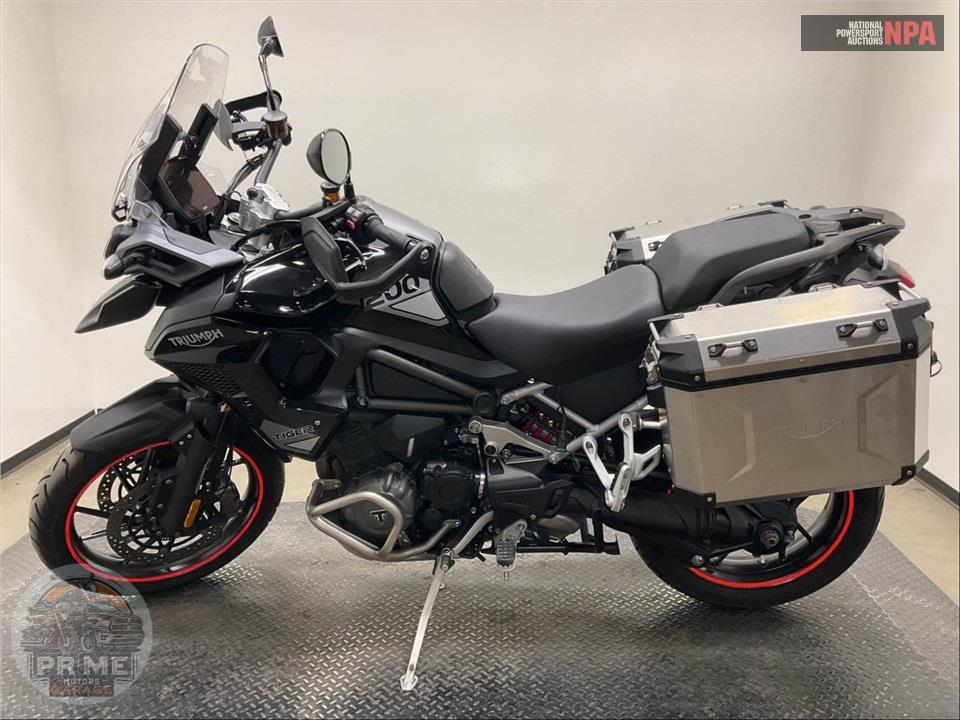 2023 Triumph TIGER 1200 GT PRO — фото 3