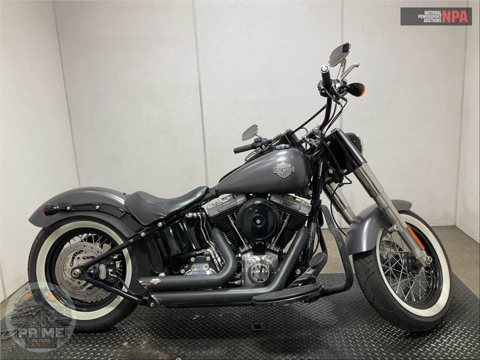 2015 Harley-Davidson FLS SOFTAIL SLIM — фото 1