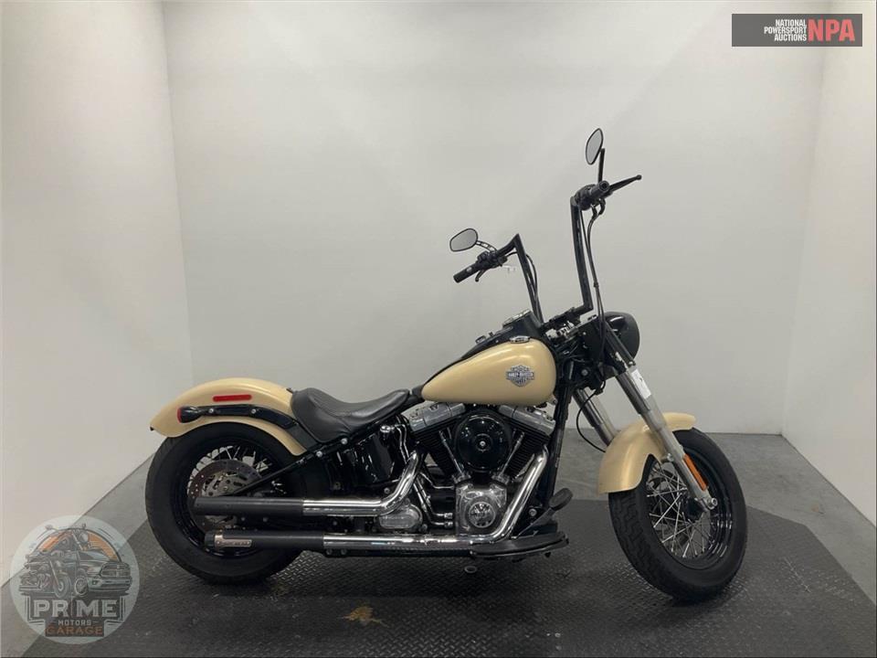 2015 Harley-Davidson FLS SOFTAIL SLIM — фото 1