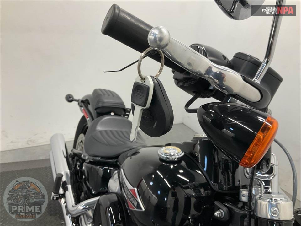 2021 Harley-Davidson FLSL SOFTAIL SLIM — фото 10