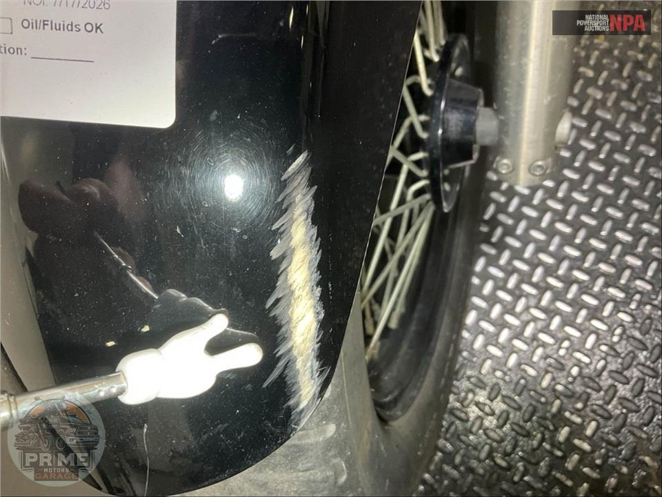 2019 Honda VT750C SHADOW AERO — фото 21