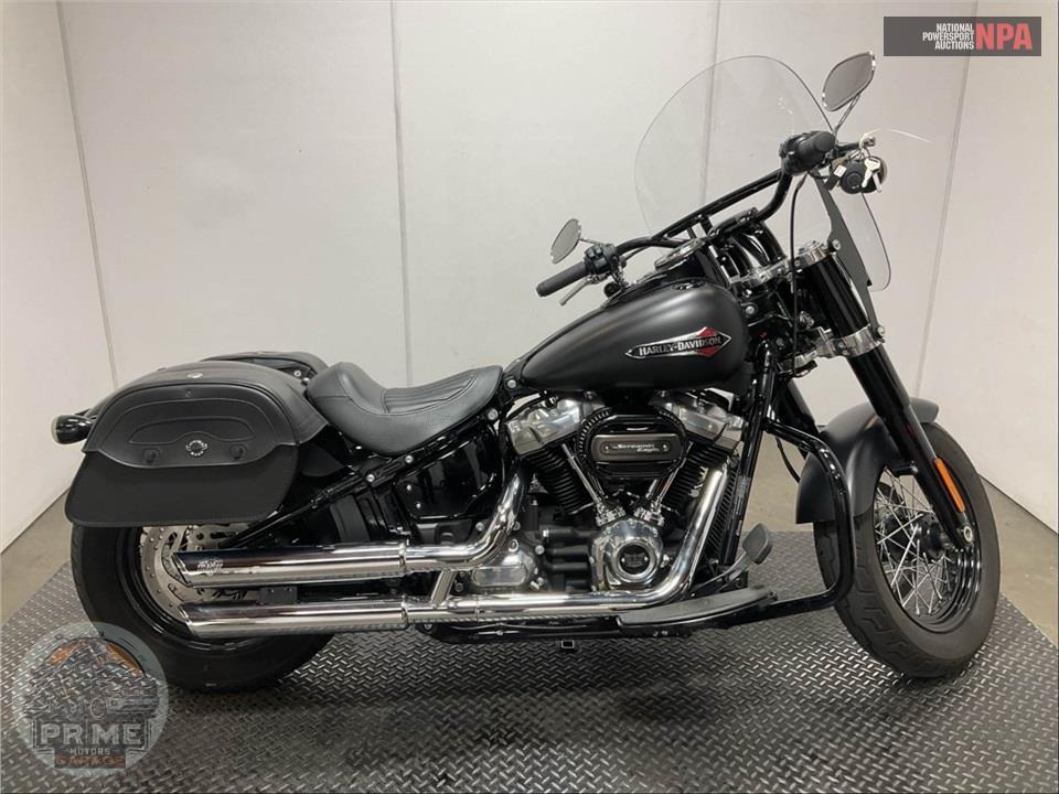2019 Harley-Davidson FLSL SOFTAIL SLIM — фото 1