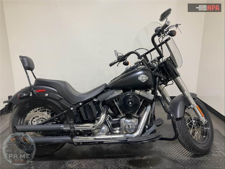 2012 Harley-Davidson FLS SOFTAIL SLIM — фото 1