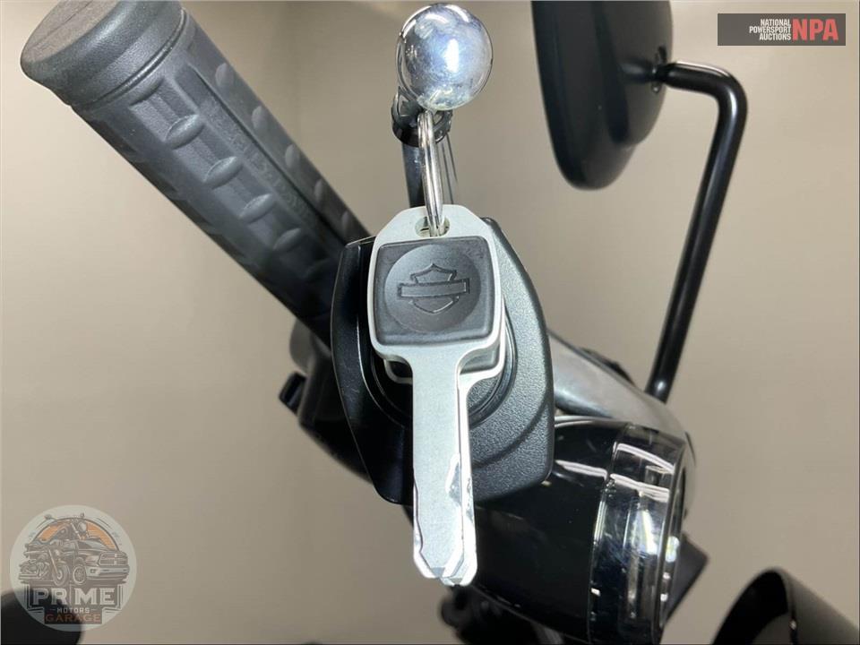 2025 Harley-Davidson FXLRS LOW RIDER S — фото 11