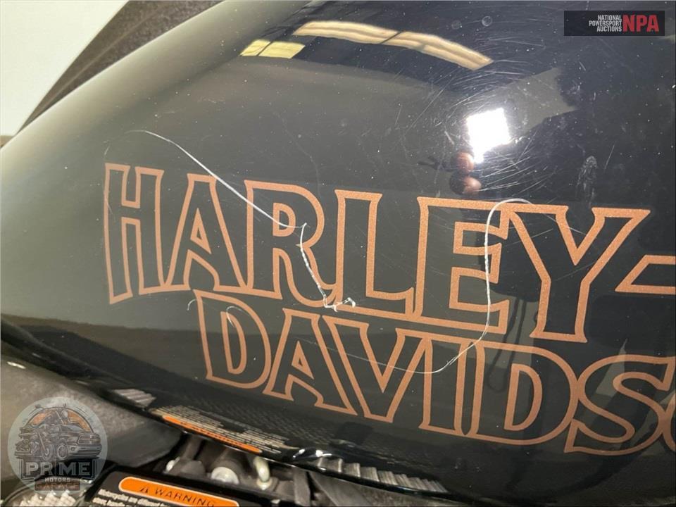 2020 Harley-Davidson FXLRS LOW RIDER S — фото 17