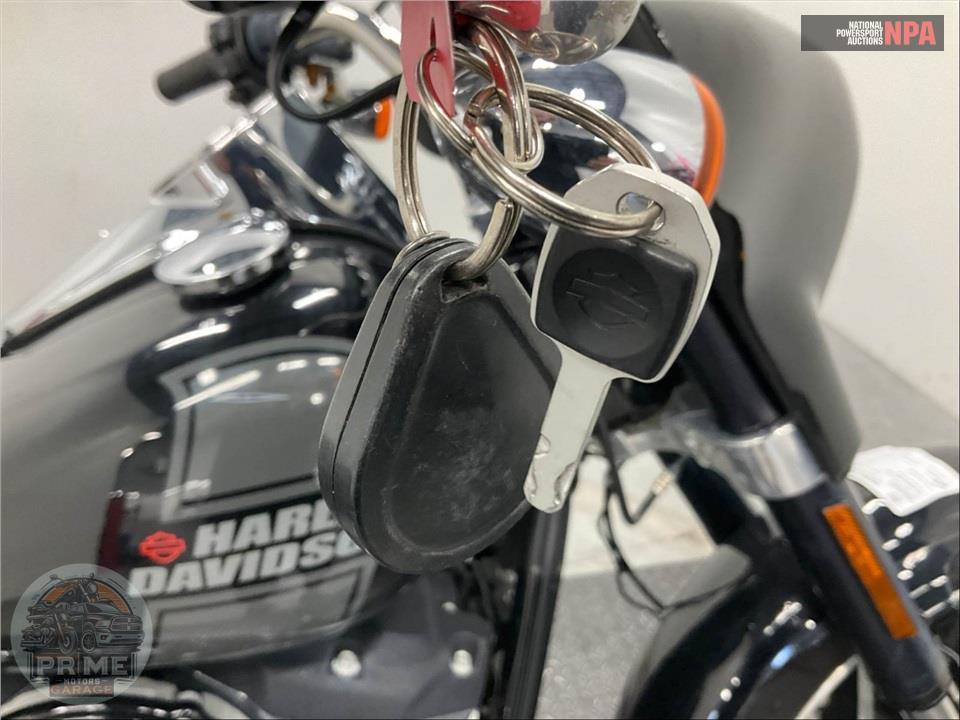 2021 Harley-Davidson FLSB SPORT GLIDE — фото 11