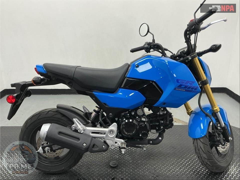 2025 Honda GROM — фото 1