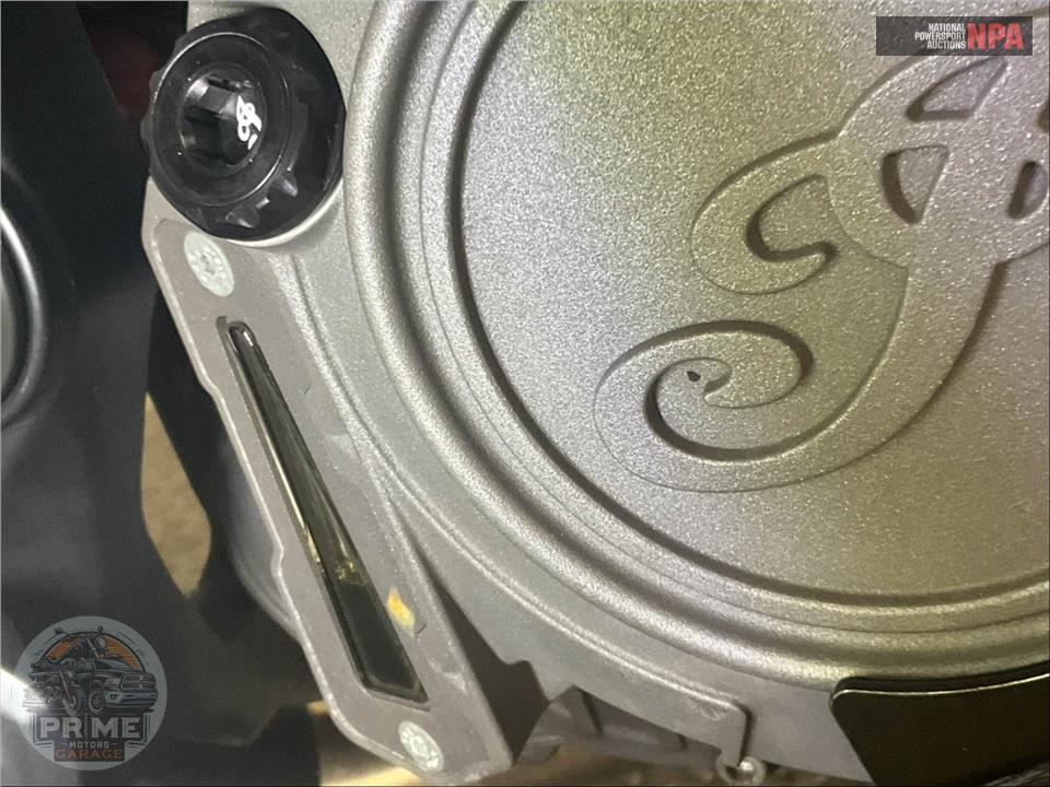 2019 Indian Motorcycle FTR 1200 S RACE REPLICA — фото 9