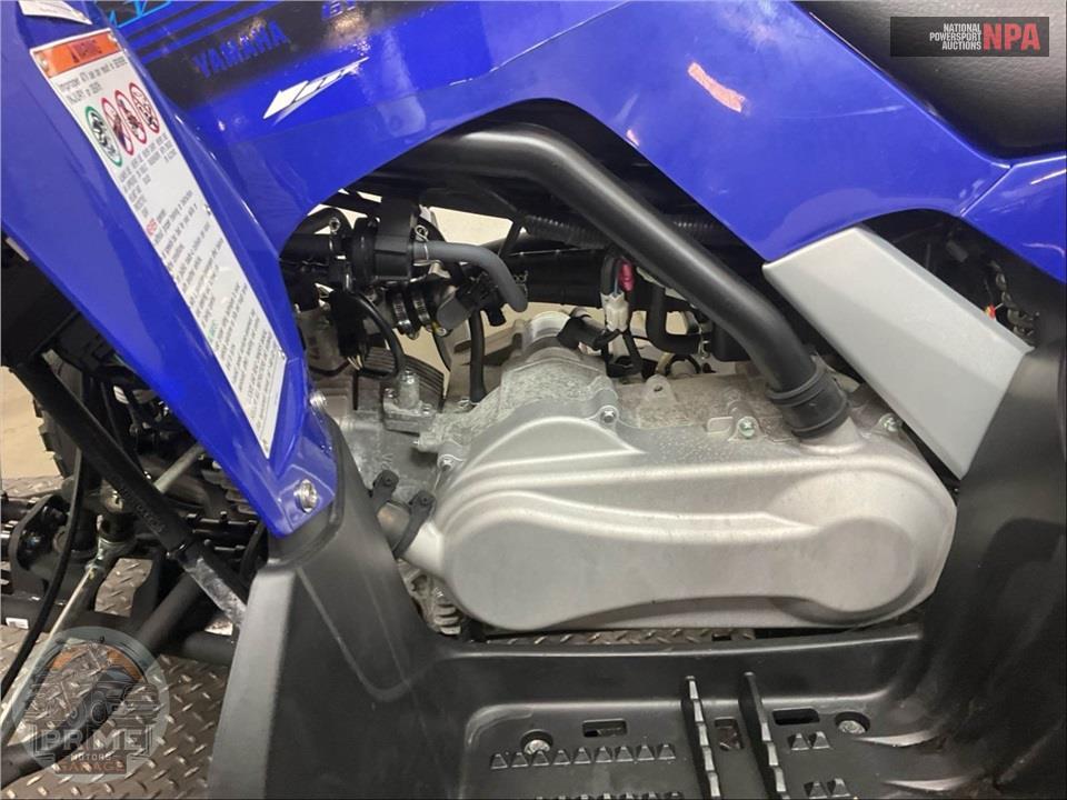 2025 Yamaha RAPTOR 110 — фото 8