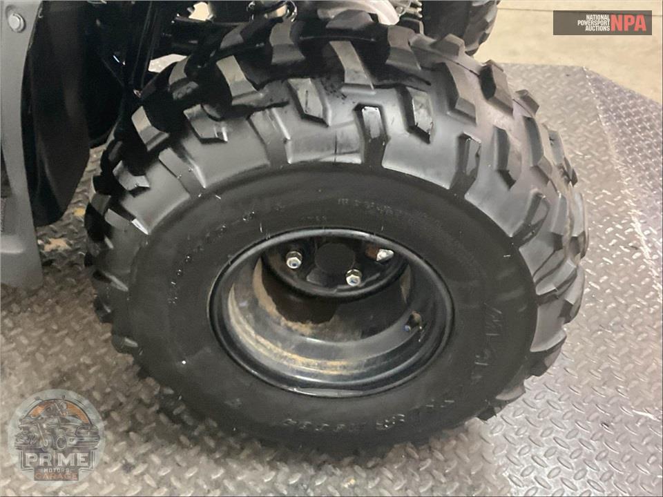2024 Honda TRX250TE FOURTRAX RECON (ELECTRIC SHIFT) — фото 17