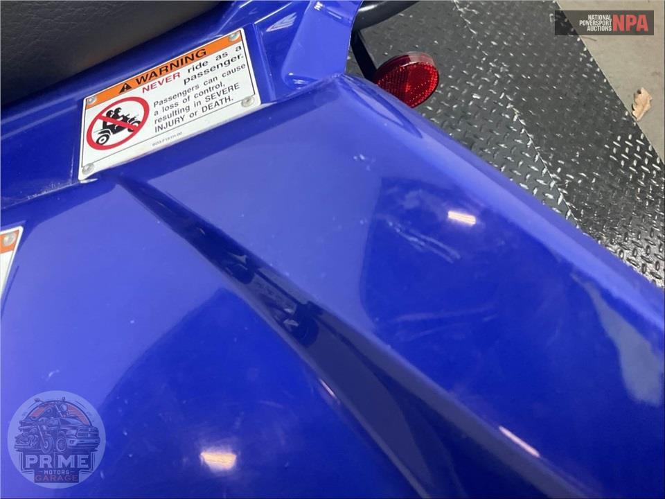 2025 Yamaha RAPTOR 110 — фото 9
