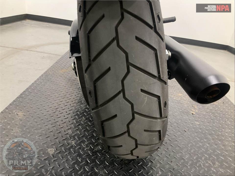 2025 Harley-Davidson FXLRS LOW RIDER S — фото 16
