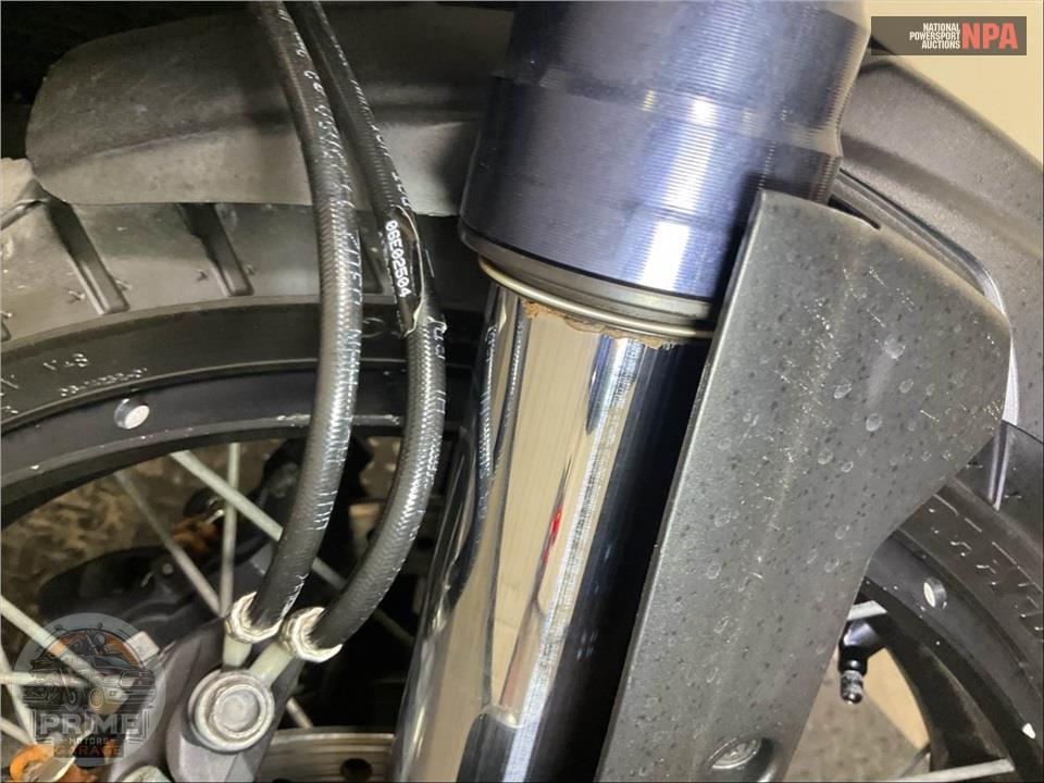 2021 Harley-Davidson RA1250S PAN AMERICA SPECIAL — фото 23