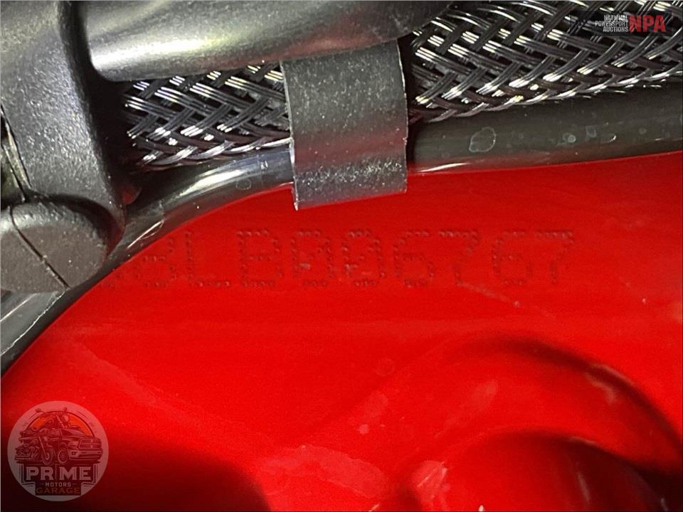 2020 Ducati MONSTER 821 (RED) — фото 23