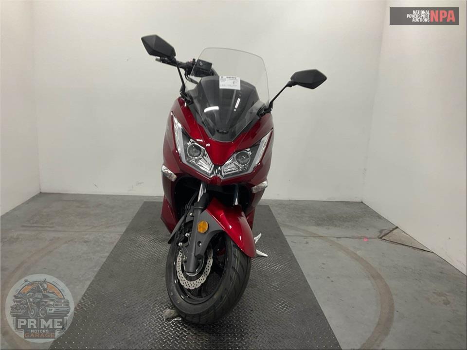 2023 Zhejiang Riya Motorcycle Co, Ltd HURRICANE 300 — фото 2