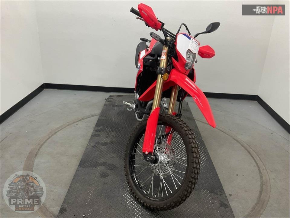 2025 Honda CRF300LA (ABS) — фото 2