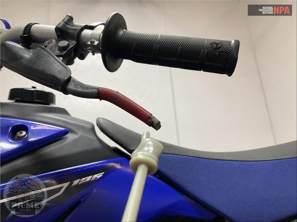 2023 Yamaha TT-R125LE — фото 20