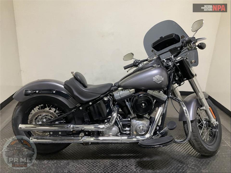 2014 Harley-Davidson FLS SOFTAIL SLIM — фото 1
