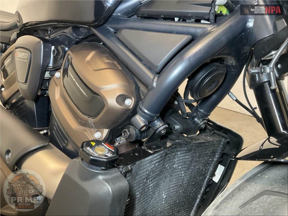 2024 Harley-Davidson RH1250S SPORTSTER S — фото 12