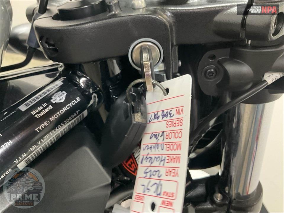 2025 Harley-Davidson RH975S NIGHTSTER SPECIAL — фото 11
