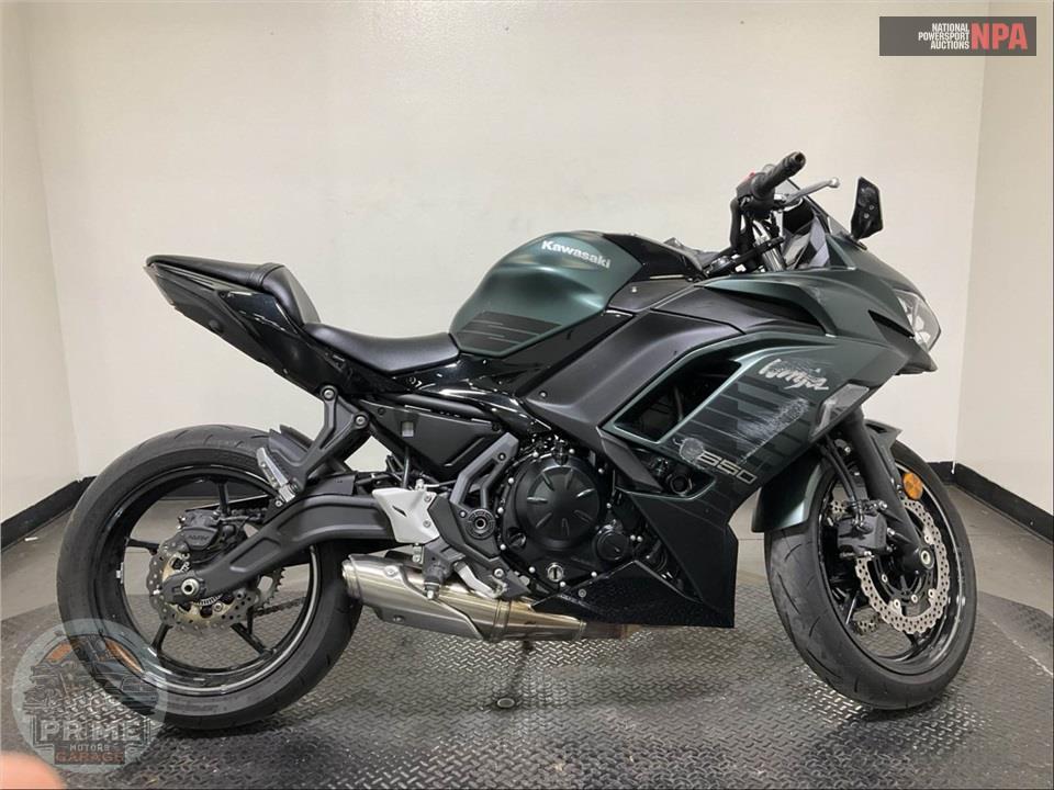 2025 Kawasaki EX650PSFAL NINJA 650 ABS — фото 1