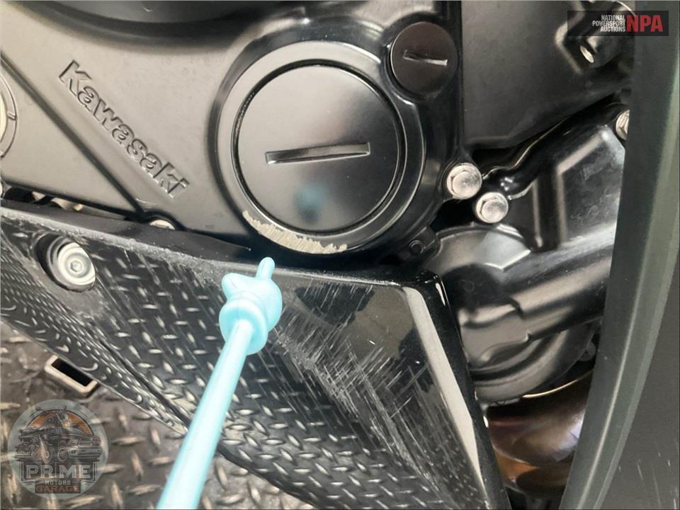 2025 Kawasaki EX650PSFAL NINJA 650 ABS — фото 9